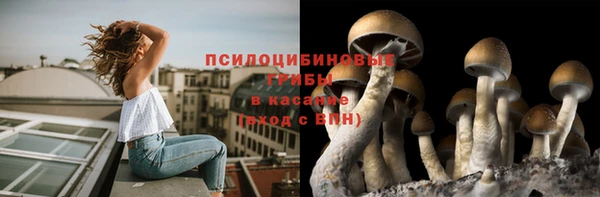 PSILOCYBIN Алексеевка