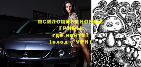 ПСИЛОЦИБИНОВЫЕ ГРИБЫ Наволоки