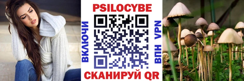 это клад Армянск Галлюциногенные грибы Cubensis МЕГА